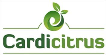 Logo cliente