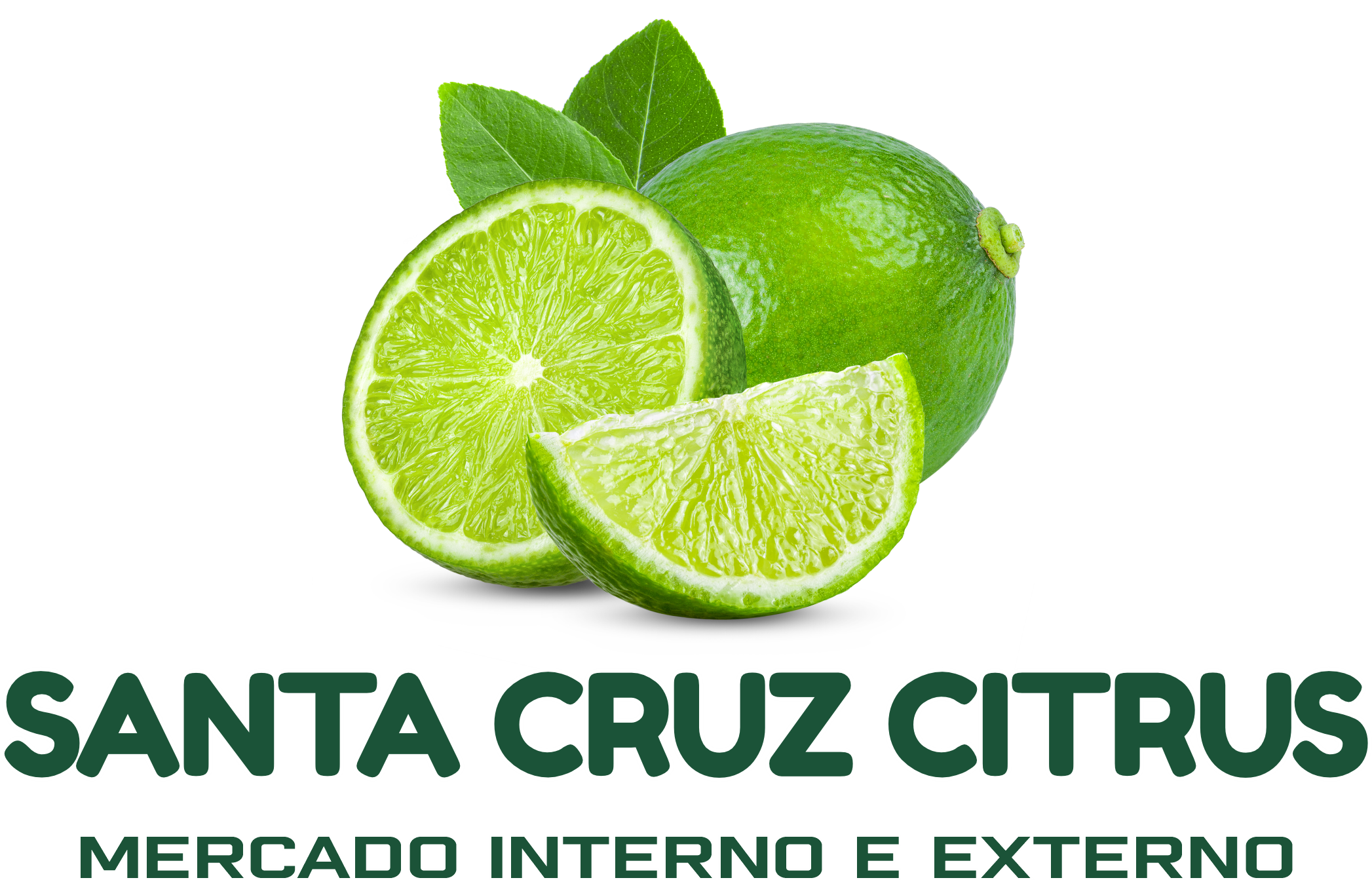 Logo cliente