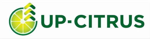 Logo cliente